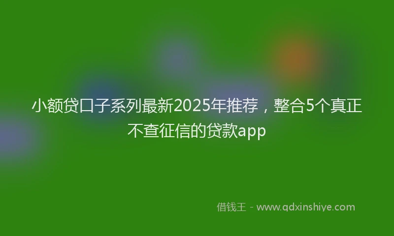小额贷口子系列最新2025年推荐，整合5个真正不查征信的贷款app