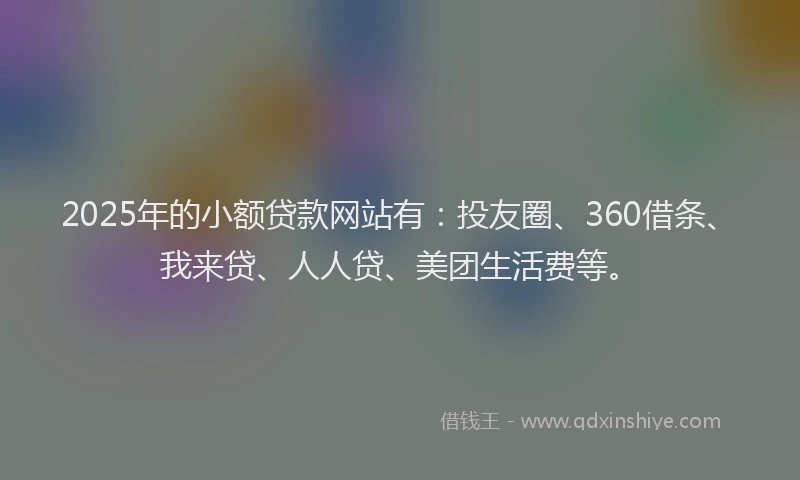 2025年的小额贷款网站有：投友圈、360借条、我来贷、人人贷、美团生活费等。