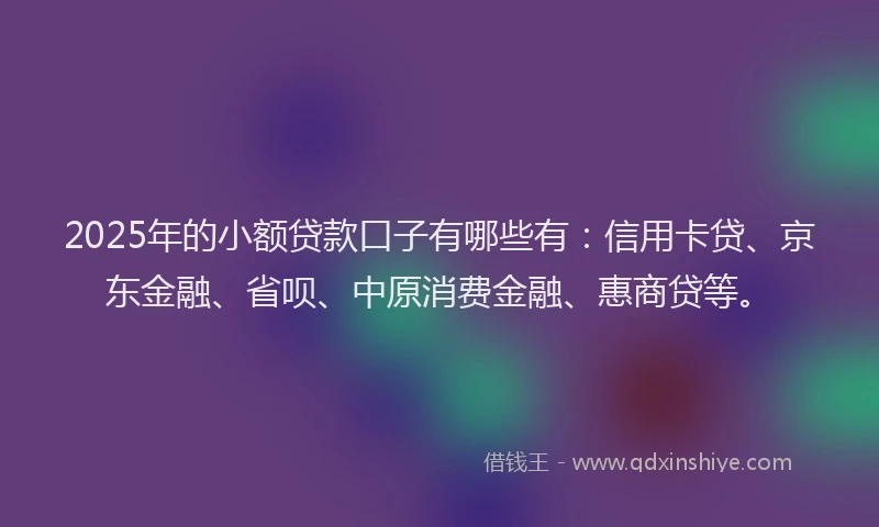 2025年的小额贷款口子有哪些有：信用卡贷、京东金融、省呗、中原消费金融、惠商贷等。
