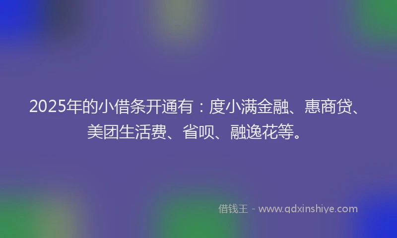 2025年的小借条开通有：度小满金融、惠商贷、美团生活费、省呗、融逸花等。