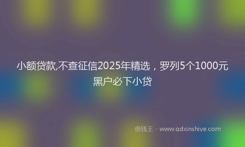 小额贷款,不查征信2025年精选，罗列5个1000元黑户必下小贷
