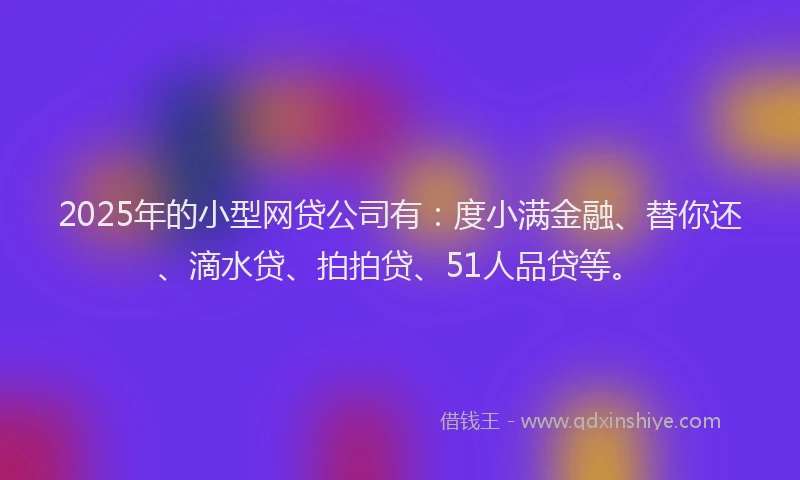 2025年的小型网贷公司有：度小满金融、替你还、滴水贷、拍拍贷、51人品贷等。