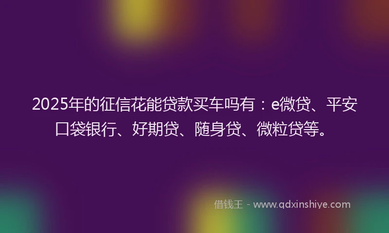 2025年的征信花能贷款买车吗有：e微贷、平安口袋银行、好期贷、随身贷、微粒贷等。