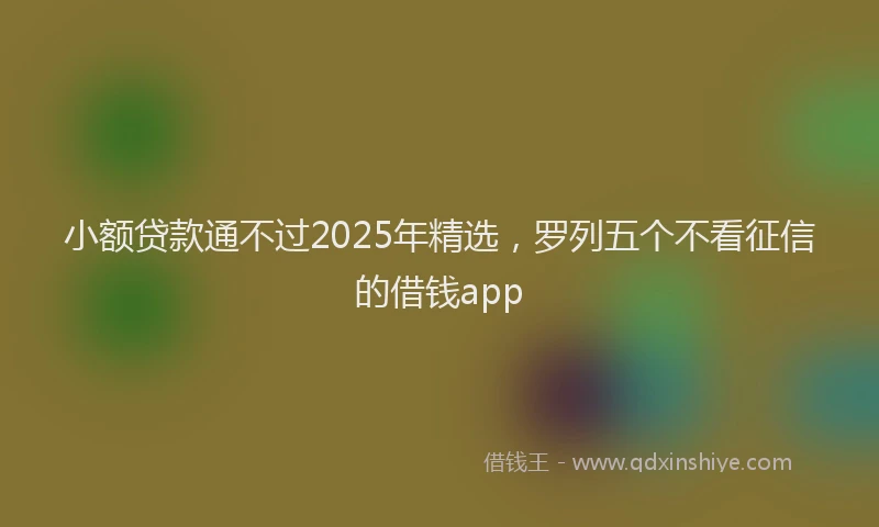 小额贷款通不过2025年精选，罗列五个不看征信的借钱app