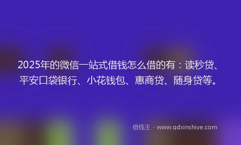 2025年的微信一站式借钱怎么借的有：读秒贷、平安口袋银行、小花钱包、惠商贷、随身贷等。