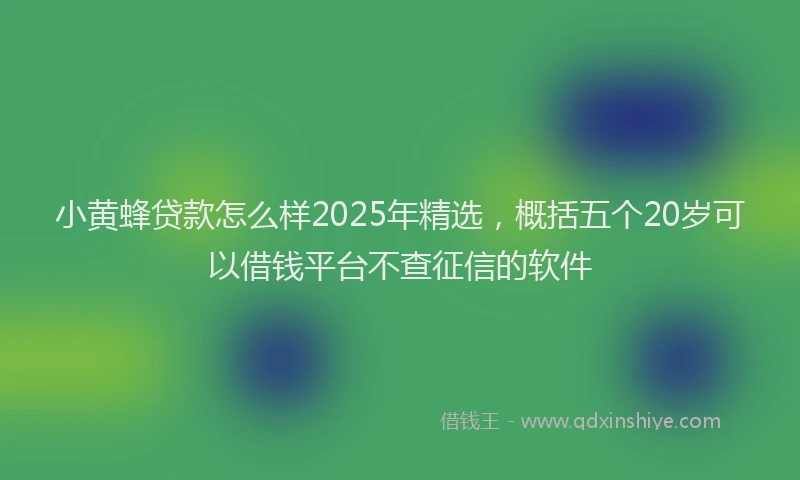 小黄蜂贷款怎么样2025年精选，概括五个20岁可以借钱平台不查征信的软件