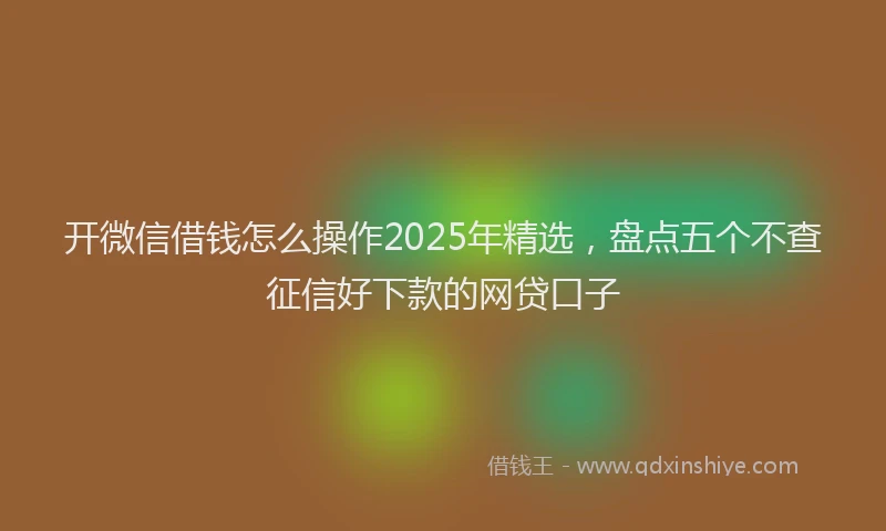开微信借钱怎么操作2025年精选，盘点五个不查征信好下款的网贷口子