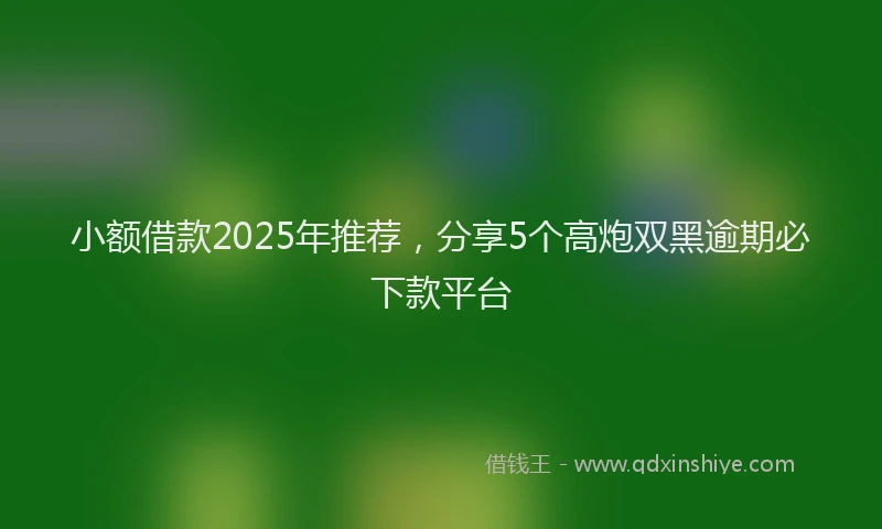 小额借款2025年推荐，分享5个高炮双黑逾期必下款平台