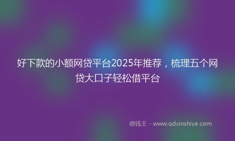 好下款的小额网贷平台2025年推荐，梳理五个网贷大口子轻松借平台