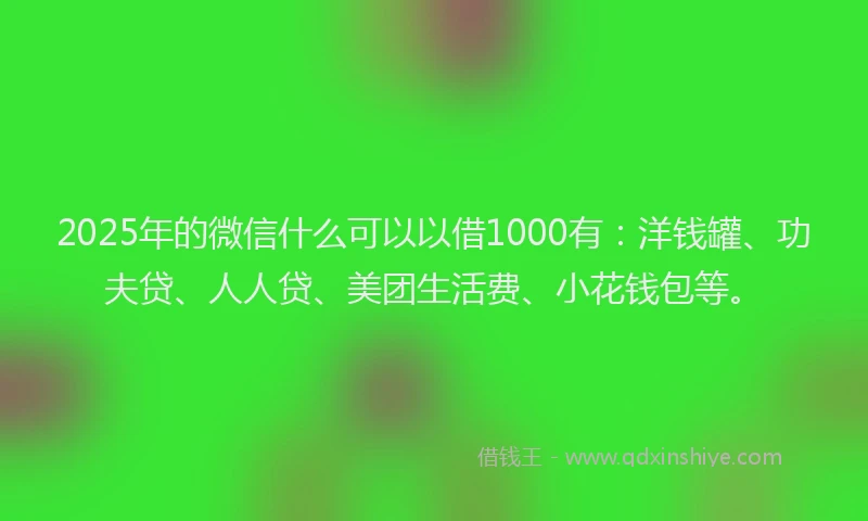 2025年的微信什么可以以借1000有：洋钱罐、功夫贷、人人贷、美团生活费、小花钱包等。