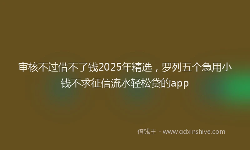 审核不过借不了钱2025年精选，罗列五个急用小钱不求征信流水轻松贷的app