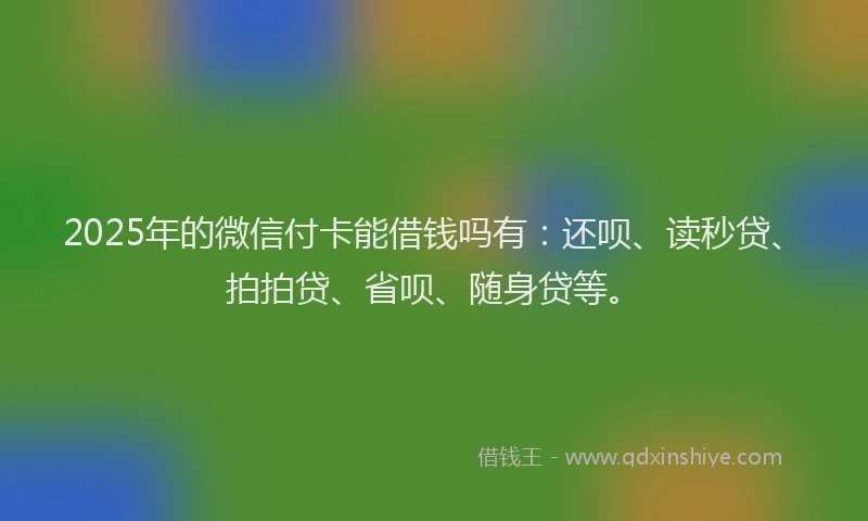 2025年的微信付卡能借钱吗有：还呗、读秒贷、拍拍贷、省呗、随身贷等。