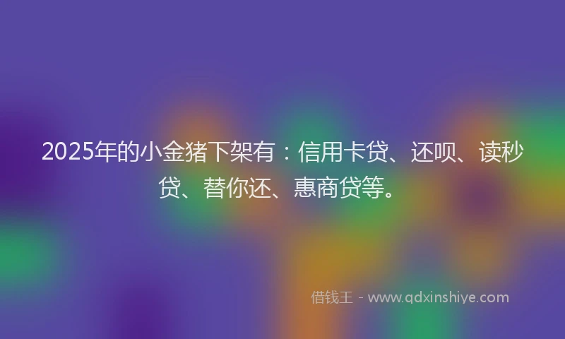2025年的小金猪下架有：信用卡贷、还呗、读秒贷、替你还、惠商贷等。