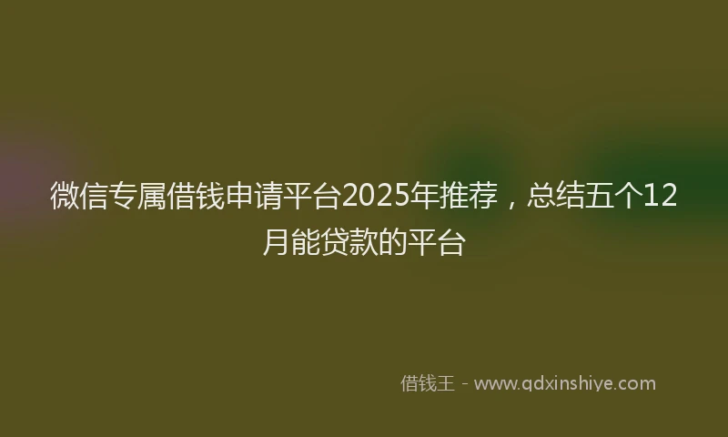 微信专属借钱申请平台2025年推荐，总结五个12月能贷款的平台