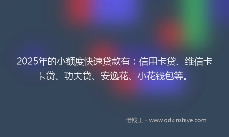 2025年的小额度快速贷款有：信用卡贷、维信卡卡贷、功夫贷、安逸花、小花钱包等。