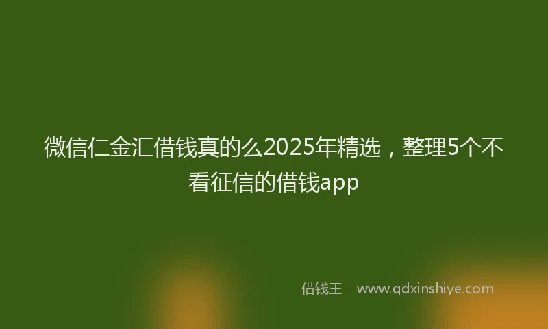 微信仁金汇借钱真的么2025年精选，整理5个不看征信的借钱app
