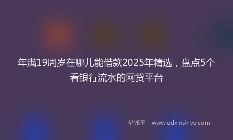 年满19周岁在哪儿能借款2025年精选，盘点5个看银行流水的网贷平台