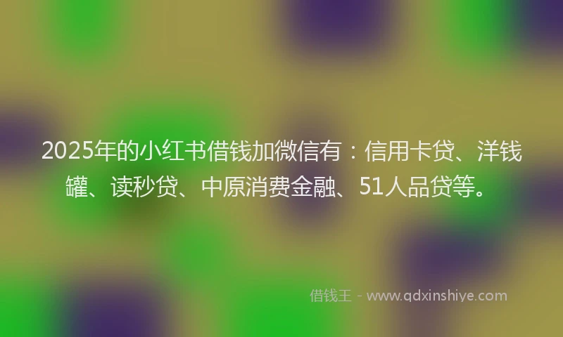 2025年的小红书借钱加微信有：信用卡贷、洋钱罐、读秒贷、中原消费金融、51人品贷等。