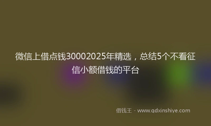 微信上借点钱30002025年精选，总结5个不看征信小额借钱的平台
