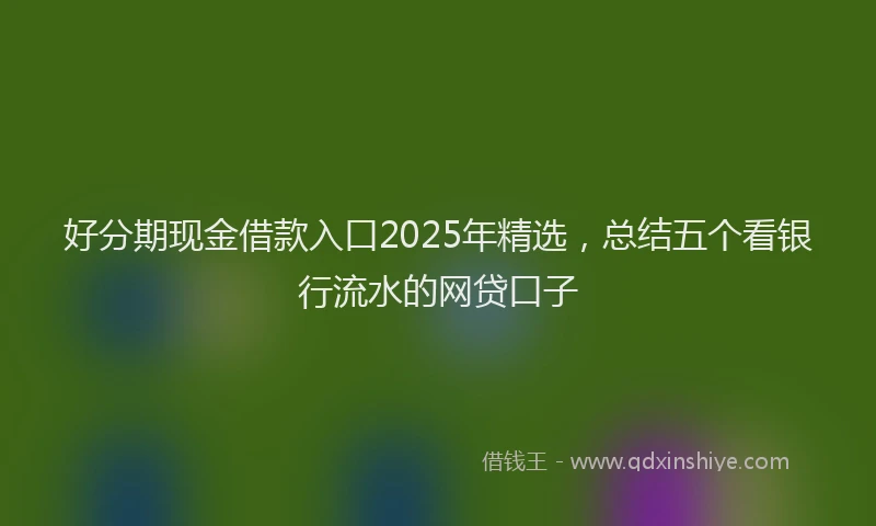好分期现金借款入口2025年精选，总结五个看银行流水的网贷口子