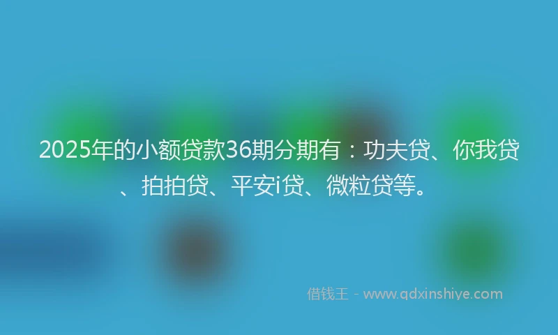 2025年的小额贷款36期分期有：功夫贷、你我贷、拍拍贷、平安i贷、微粒贷等。