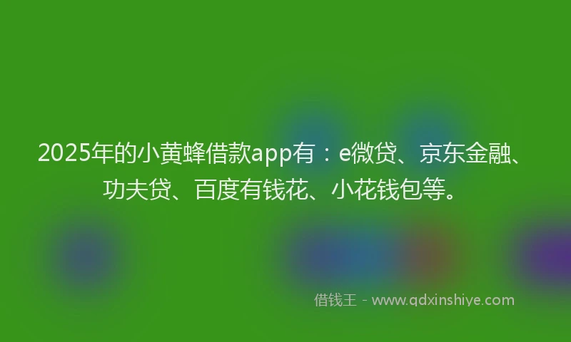 2025年的小黄蜂借款app有：e微贷、京东金融、功夫贷、百度有钱花、小花钱包等。