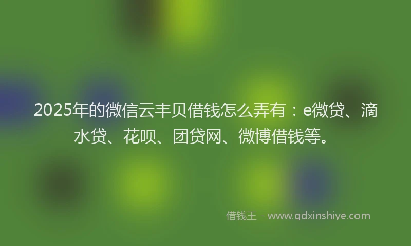 2025年的微信云丰贝借钱怎么弄有：e微贷、滴水贷、花呗、团贷网、微博借钱等。