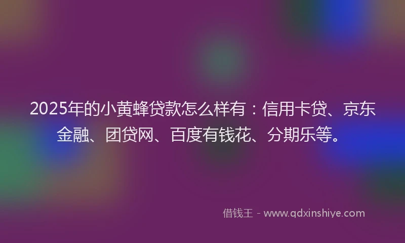 2025年的小黄蜂贷款怎么样有：信用卡贷、京东金融、团贷网、百度有钱花、分期乐等。