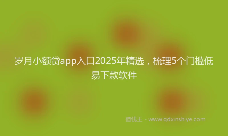岁月小额贷app入口2025年精选，梳理5个门槛低易下款软件