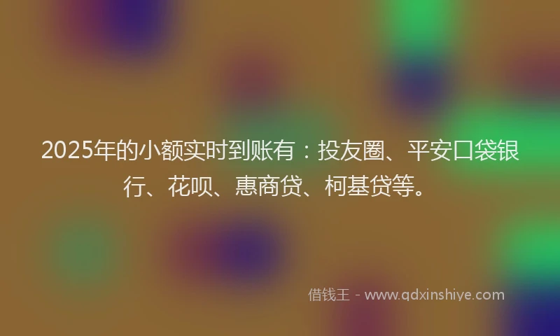 2025年的小额实时到账有：投友圈、平安口袋银行、花呗、惠商贷、柯基贷等。