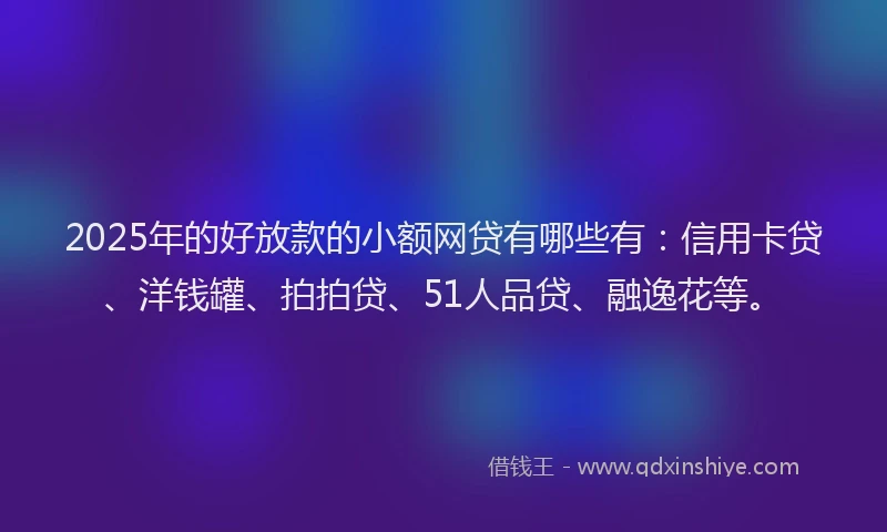 2025年的好放款的小额网贷有哪些有：信用卡贷、洋钱罐、拍拍贷、51人品贷、融逸花等。