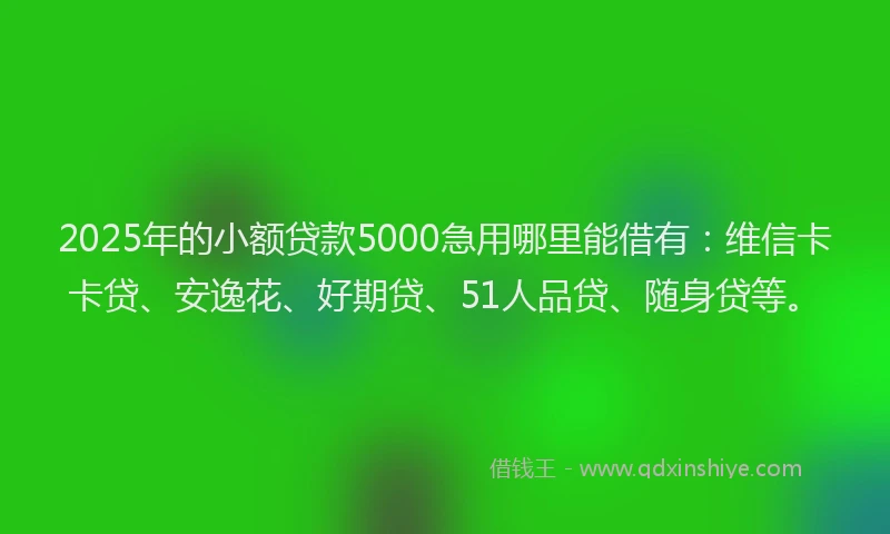2025年的小额贷款5000急用哪里能借有：维信卡卡贷、安逸花、好期贷、51人品贷、随身贷等。