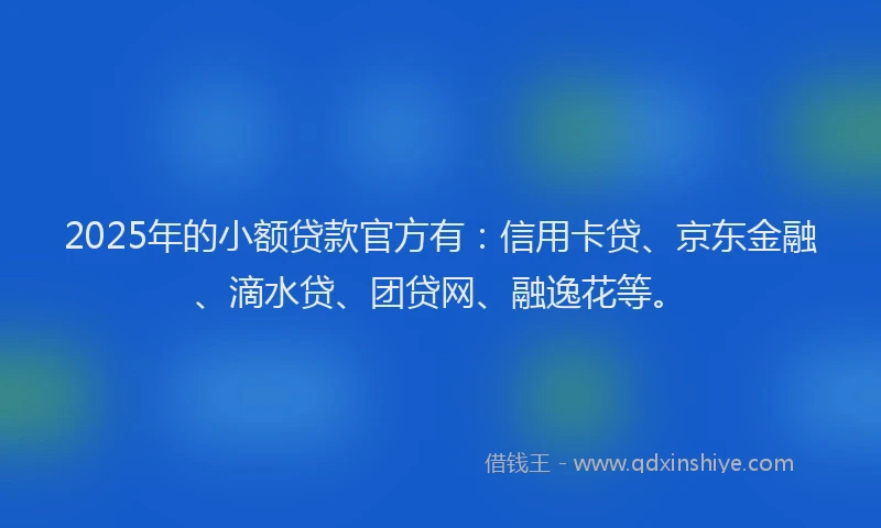 2025年的小额贷款官方有：信用卡贷、京东金融、滴水贷、团贷网、融逸花等。