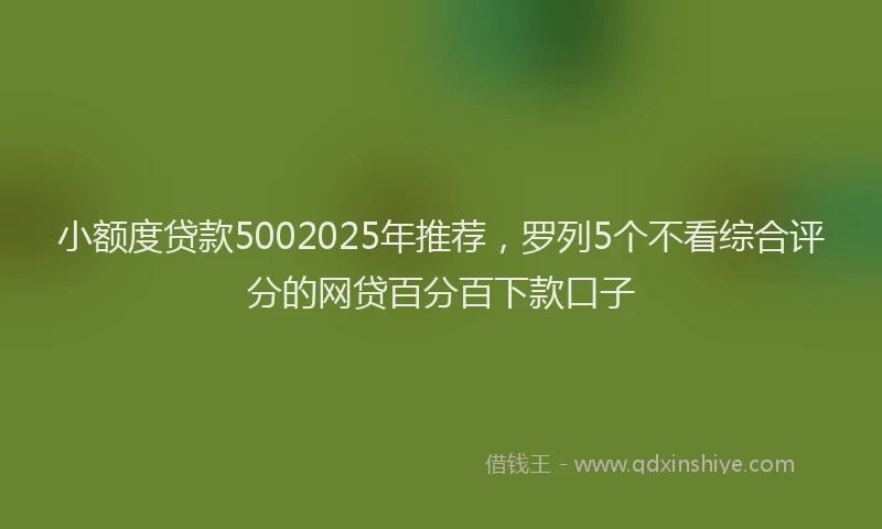 小额度贷款5002025年推荐，罗列5个不看综合评分的网贷百分百下款口子