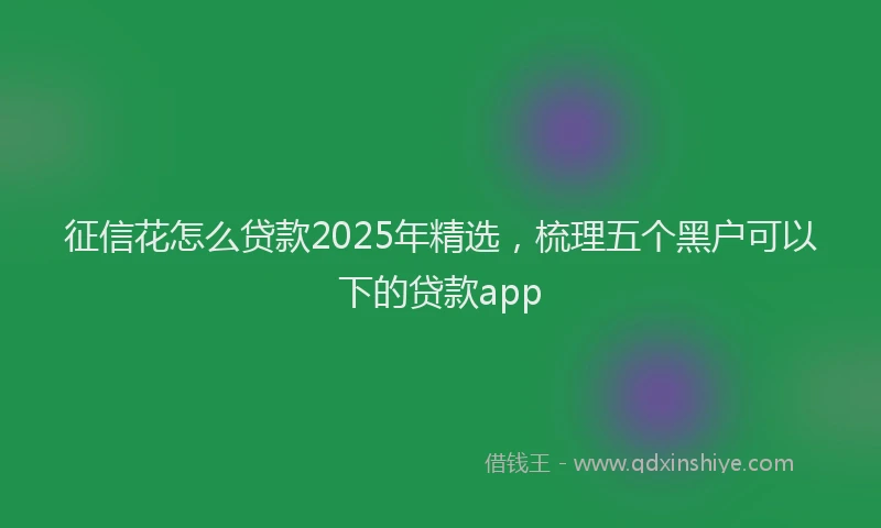 征信花怎么贷款2025年精选，梳理五个黑户可以下的贷款app
