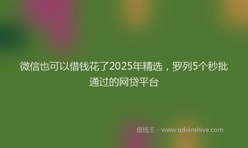 微信也可以借钱花了2025年精选，罗列5个秒批通过的网贷平台