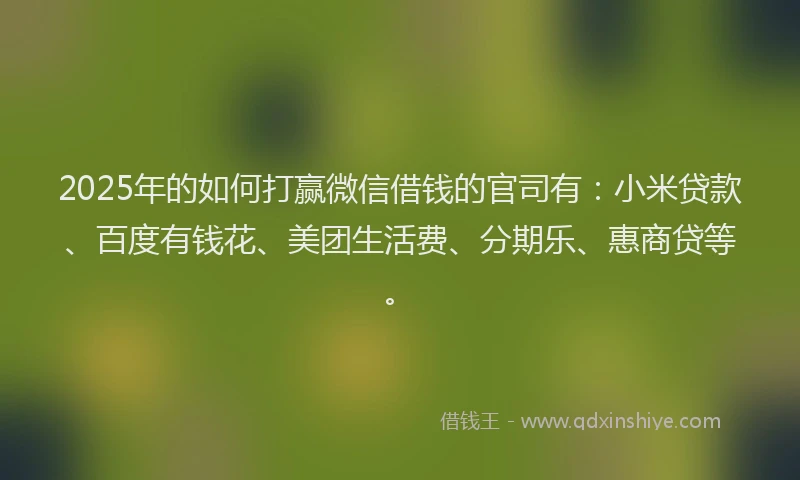2025年的如何打赢微信借钱的官司有：小米贷款、百度有钱花、美团生活费、分期乐、惠商贷等。