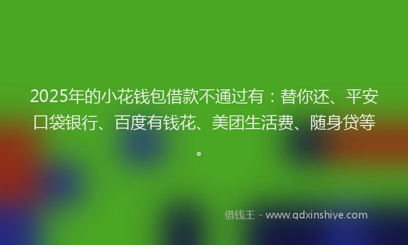 2025年的小花钱包借款不通过有：替你还、平安口袋银行、百度有钱花、美团生活费、随身贷等。