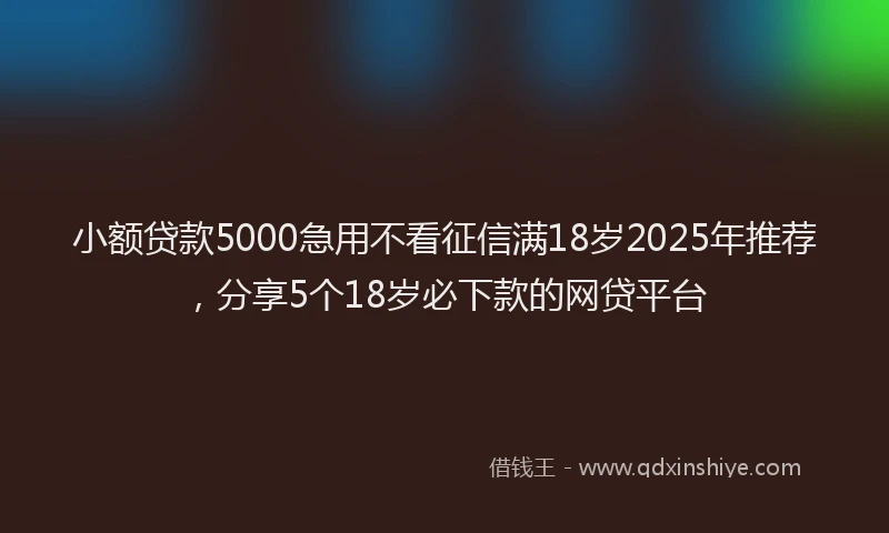 小额贷款5000急用不看征信满18岁2025年推荐，分享5个18岁必下款的网贷平台