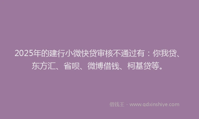 2025年的建行小微快贷审核不通过有：你我贷、东方汇、省呗、微博借钱、柯基贷等。