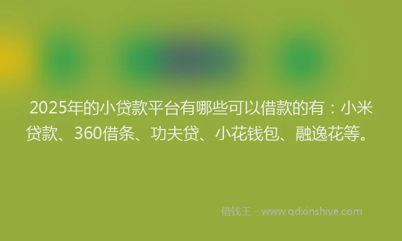 2025年的小贷款平台有哪些可以借款的有：小米贷款、360借条、功夫贷、小花钱包、融逸花等。