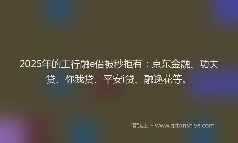 2025年的工行融e借被秒拒有：京东金融、功夫贷、你我贷、平安i贷、融逸花等。