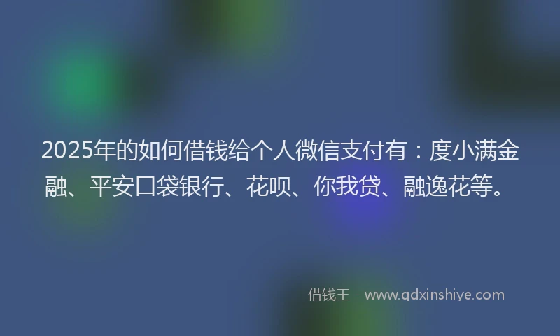 2025年的如何借钱给个人微信支付有：度小满金融、平安口袋银行、花呗、你我贷、融逸花等。