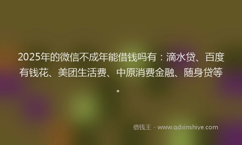 2025年的微信不成年能借钱吗有：滴水贷、百度有钱花、美团生活费、中原消费金融、随身贷等。