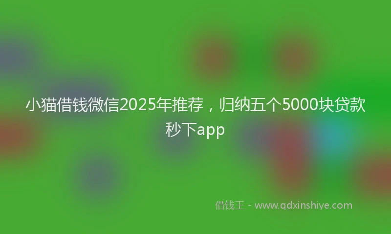 小猫借钱微信2025年推荐，归纳五个5000块贷款秒下app