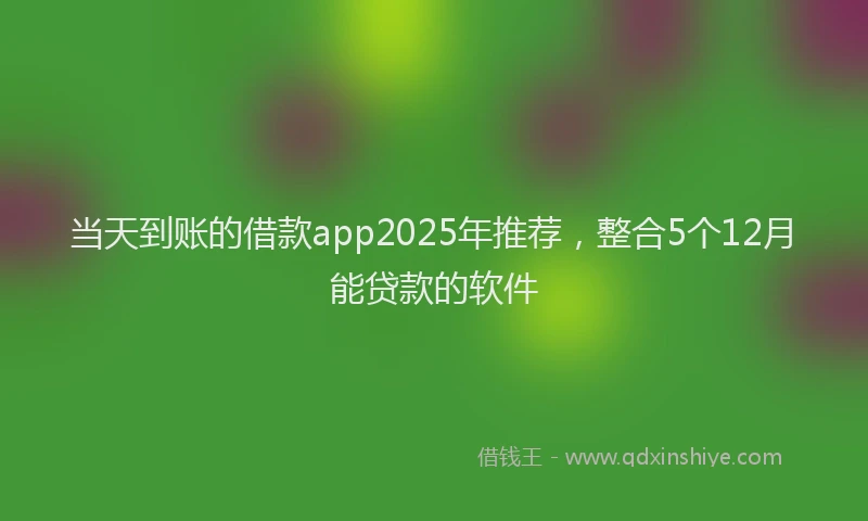 当天到账的借款app2025年推荐，整合5个12月能贷款的软件
