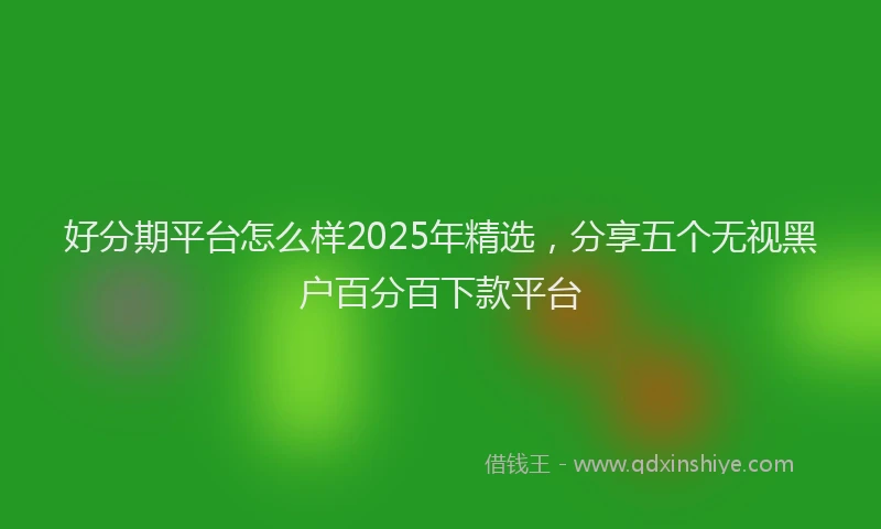 好分期平台怎么样2025年精选，分享五个无视黑户百分百下款平台