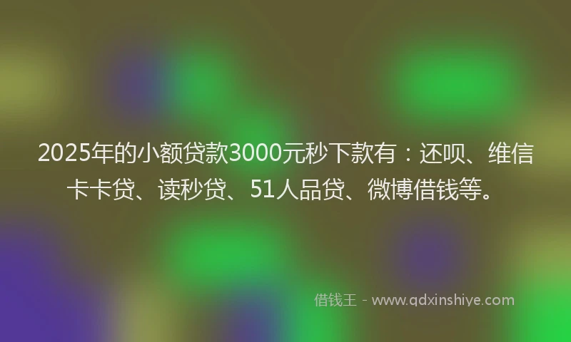 2025年的小额贷款3000元秒下款有：还呗、维信卡卡贷、读秒贷、51人品贷、微博借钱等。