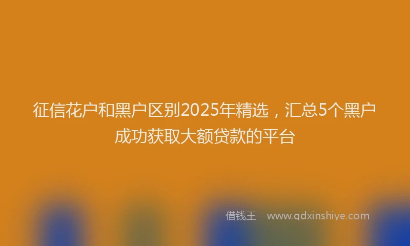 征信花户和黑户区别2025年精选，汇总5个黑户成功获取大额贷款的平台