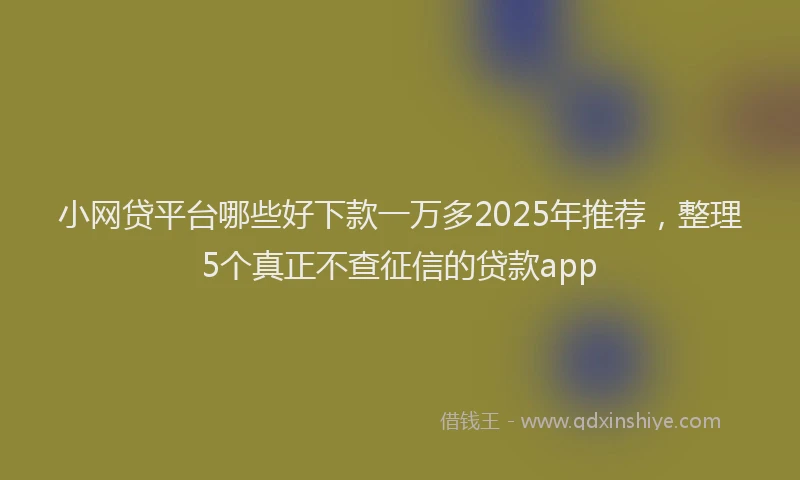 小网贷平台哪些好下款一万多2025年推荐，整理5个真正不查征信的贷款app